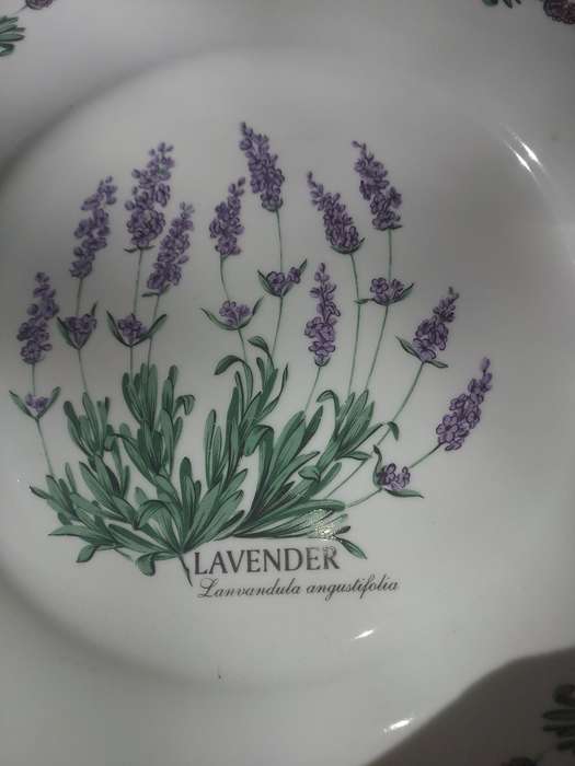 A VINTAGE WIESENTHAL GERMANY PORCELAIN PLATE PLAQUE SOLD AS IS
