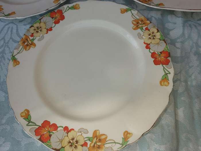 A VINTAGE COLLECTION OF 5 ALFRED MEAKIN PLATES AND A PLATTER SOLD AS IS