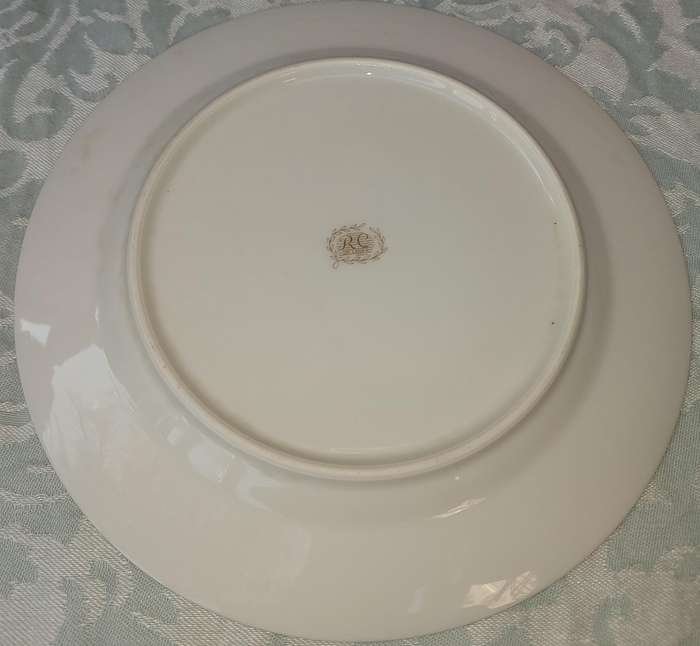 A SET OF 10 RC NORITAKI SRI LANKA DINNER PLATES ONE HAS A CHIP AS PER THE PHOTOS SOLD AS IS