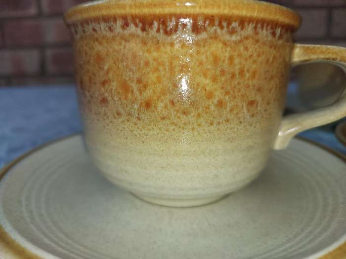 Vintage Mikasa Japan Natures Song C1050 Tea Cups & Saucer Frothy Beige Glaze