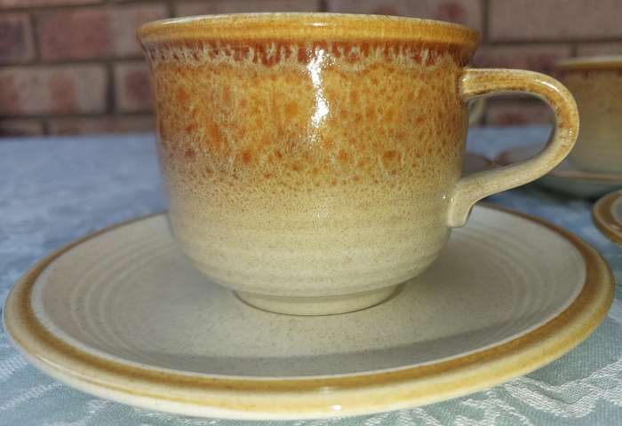 Vintage Mikasa Japan Natures Song C1050 Tea Cups & Saucer Frothy Beige Glaze