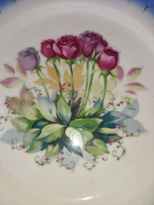 A VINTAGE JAPANESE PORCELAIN PLATE WITH FINE ROSES SOLD AS IS