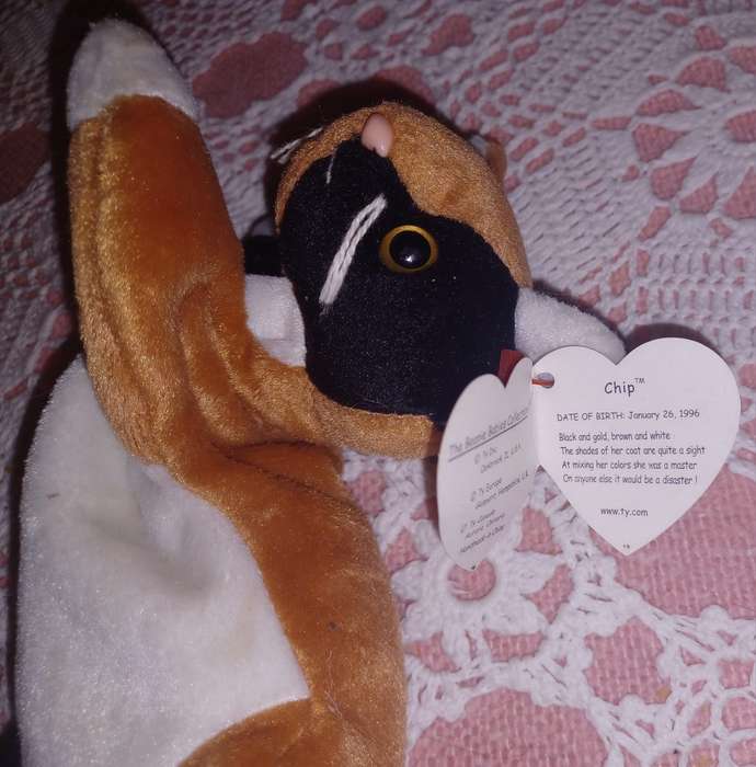 Kitten Beanie Baby