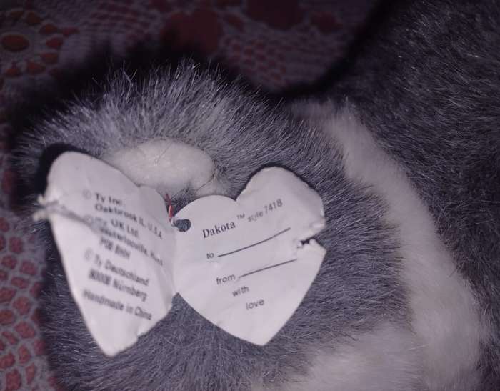Stuffed Husky