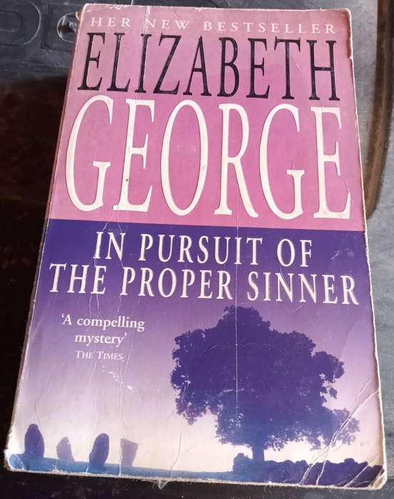 In Pursuit of the Proper Sinner E George  & The Highest Bidder J Cohen