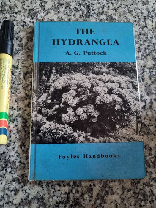 THE HYDRANGEA A G PUTTOCK FOYLES Handbooks ( botany flowering plants gardening  )