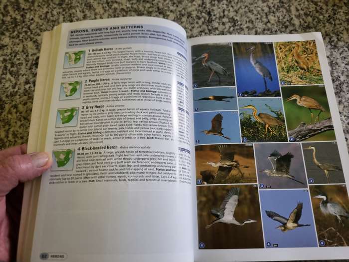 Photographic Field Guide Birds of Southern Africa by Sinclair and Ryan  ( Sasol