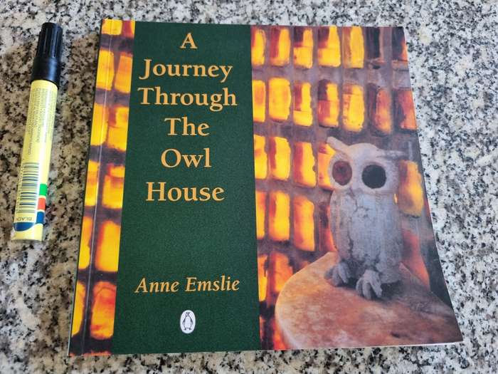 A JOURNEY THROUGH THE OWL HOUSE ANNE EMSLIE  NIEU BETHESDA Helen Martins