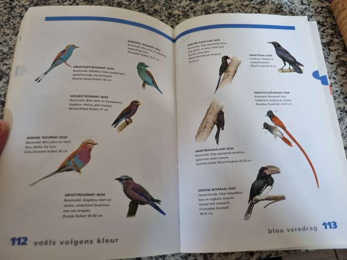 NEWMAN SE VOELS VOLGENS KLEUR KENNETH NEWMAN