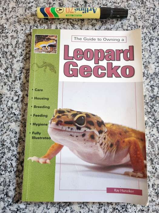 GUIDE TO OWNING A GECKO A LEOPARD GECKO RAY HUNZIKER