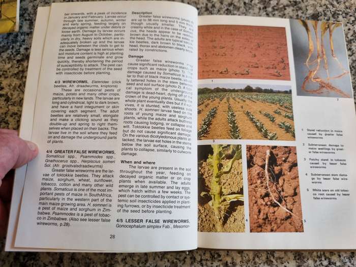 CROP PESTS IN SOUTHERN AFRICA Volume 4 FIELD CROPS and PASTURES Bulletin 416 Ed. A C MYBURGH