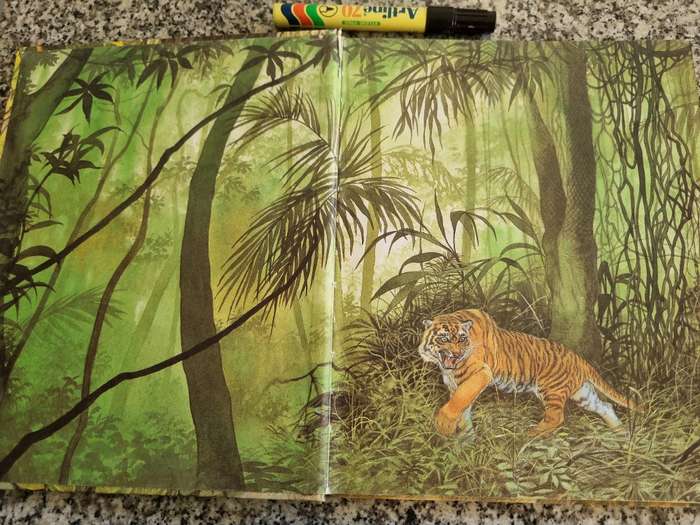 THE JUNGLE BOOK RUDYARD KIPLING Illustrated Eric Kincaird Brimax Books 1991
