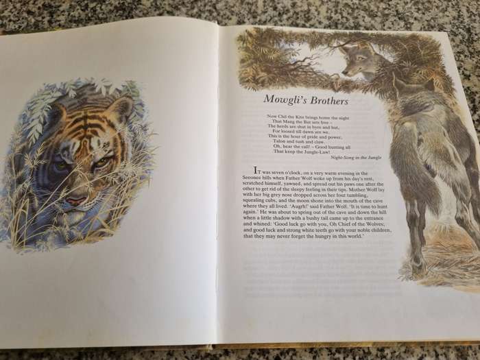 THE JUNGLE BOOK RUDYARD KIPLING Illustrated Eric Kincaird Brimax Books 1991