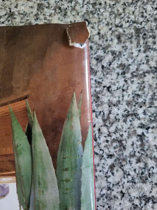 DOWN SOUTH TWO More Homes & Interiors South Africa PAUL DUNCAN INTERIOR DESIGN decorating furniture