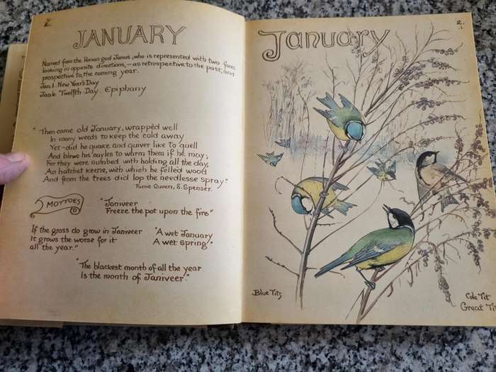 THE COUNTRY DIARY OF AN EDWARDIAN LADY EDITH HOLDEN