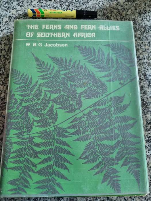 The FERNS and FERN ALLIES OF SOUTHERN AFRICA W B G JACOBSON (  botany non flowering plants flora )