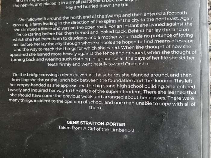 A GIRL OF THE LINDERLOST GENE STRATTON PORTER ( Stratton-Porter )