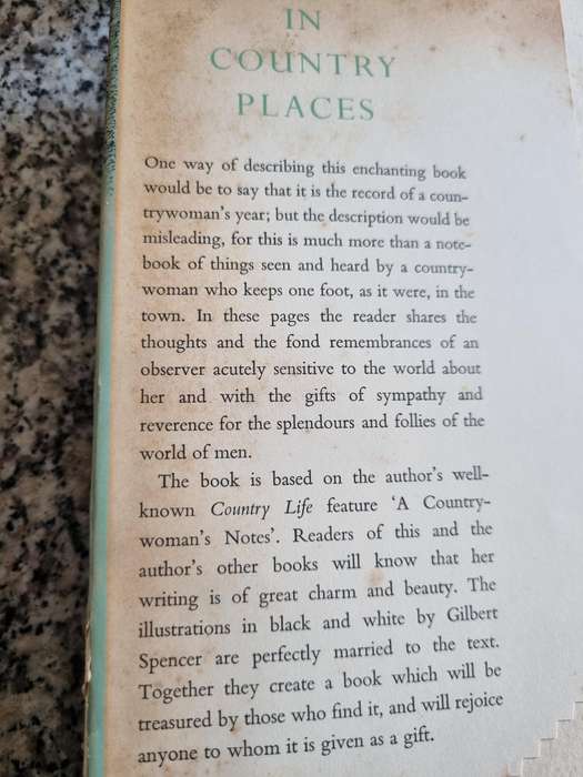 IN COUNTRY PLACES by EILUNED LEWIS