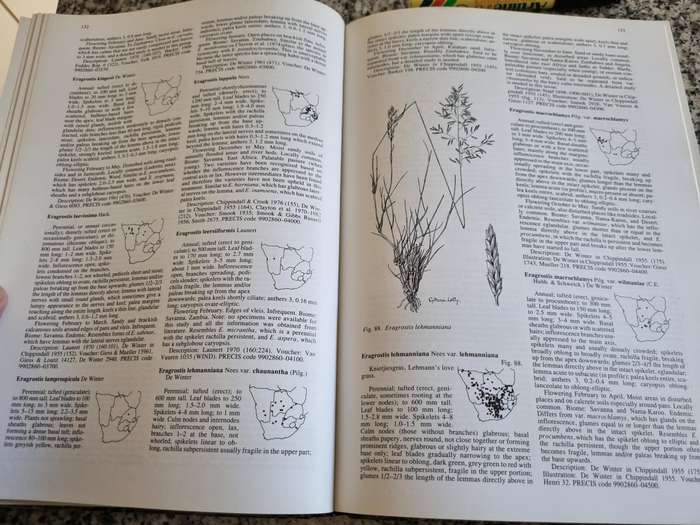 Grasses Of Southern Africa G E GIBBS RUSSELL L WATSON M KOEKEMOER et al Botanical Survey no. 58
