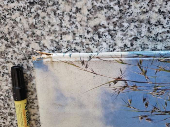 Grasses Of Southern Africa G E GIBBS RUSSELL L WATSON M KOEKEMOER et al Botanical Survey no. 58