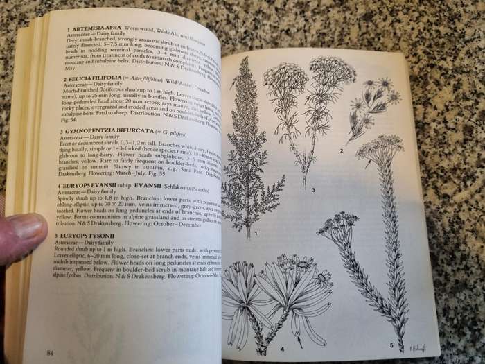 A FIELD GUIDE The FLORA of the NATAL DRAKENSBERG  DONALD KILLICK (  wild flowers KwaZulu Natal