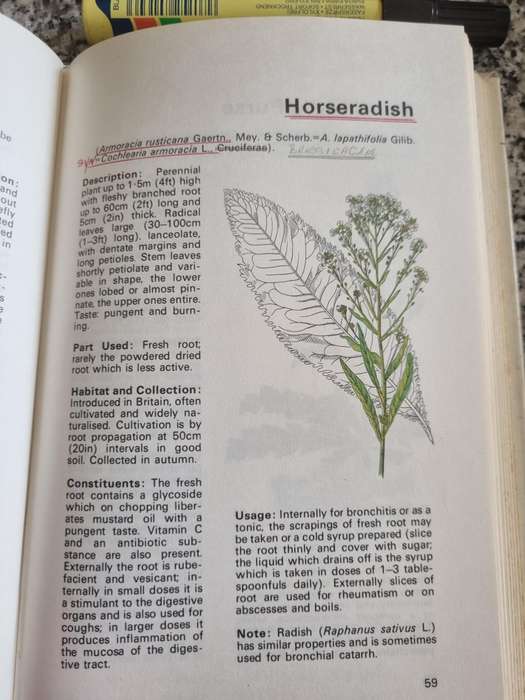 MEDICINAL PLANTS Prof. HANS FLUCK Translated by Prof. J M ROWSON 1976 please note the description