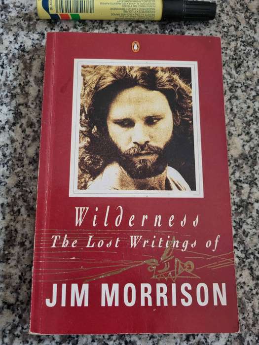 JIM MORRISON WILDERNESS The Lost Writings ( Prolific Song Writer , Lead Singer - Doors & Poet Music