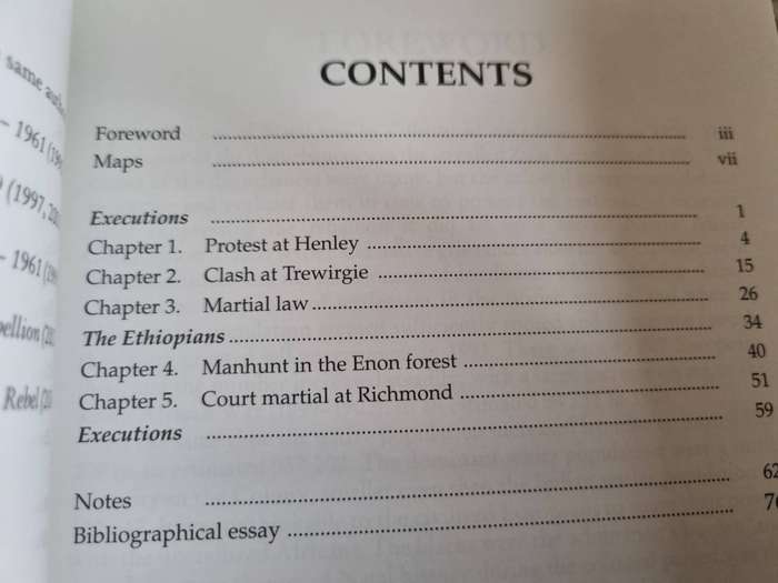 INCIDENT at TREWIRGIE First Shots of the Zulu Rebellion P S THOMPSON