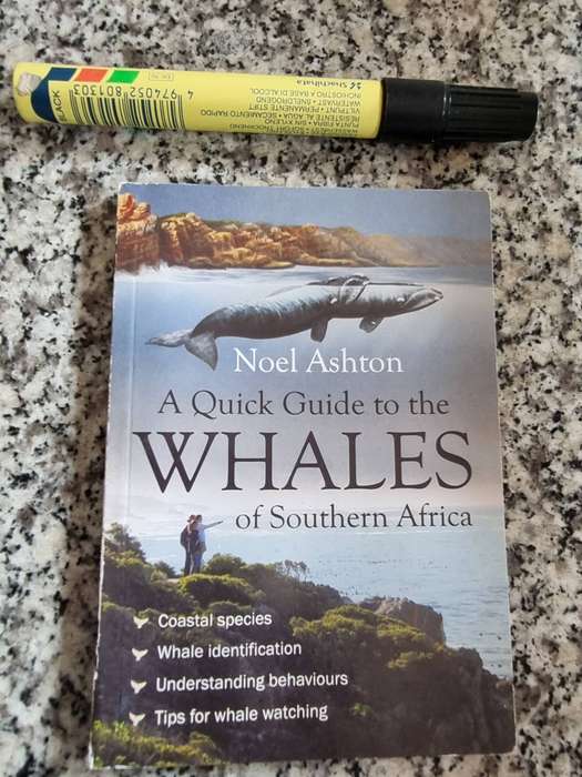 A QUICK GUIDE TO THE WHALES OF SOUTHERN AFRICA NOEL ASHTON