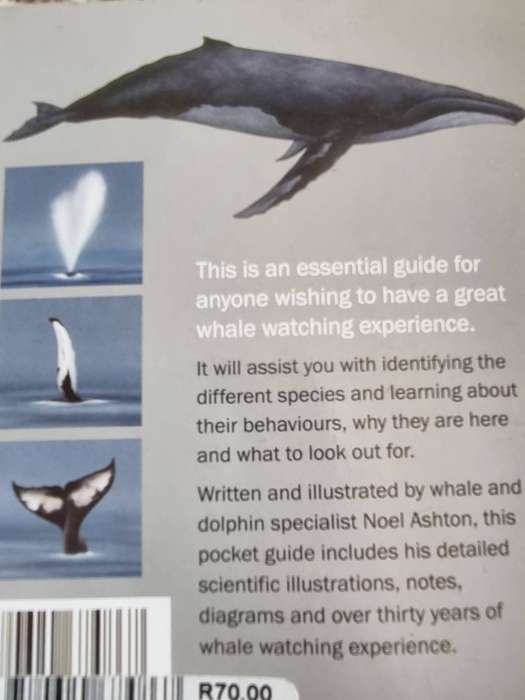 A QUICK GUIDE TO THE WHALES OF SOUTHERN AFRICA NOEL ASHTON