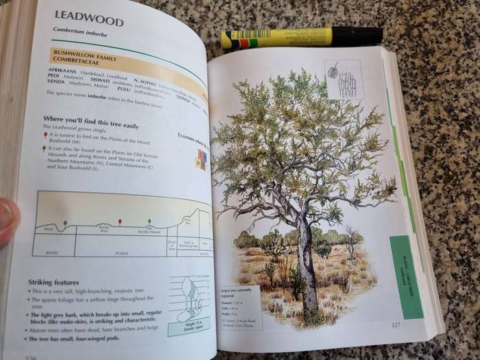 SAPPI TREE SPOTTING BUSHVELD -Pilanesberg & Magaliesberg Tree Identification Made Easy