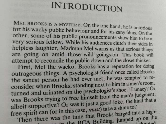 THE COMIC ART OF MEL BROOKS MAURICE  YACOWAR ( films acting comedian actor cinema )