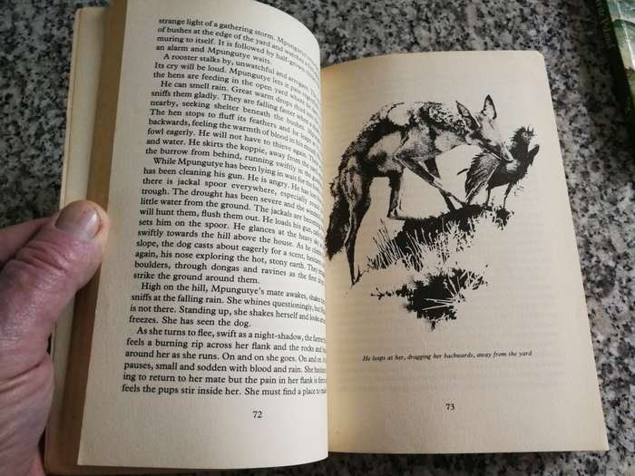 2 BOOKS BY MARGUERITE POLAND THE BUSH SHRIKE plus SAMBANES DREAM and other Stories