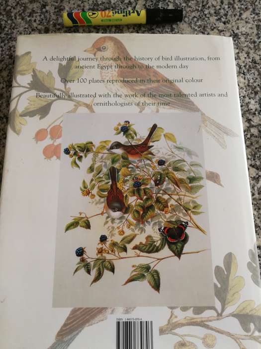 THE ART OF BIRD ILLUSTRATION Visual Tribute Achievements Classic Bird Illustrators MAUREEN LAMBOURNE