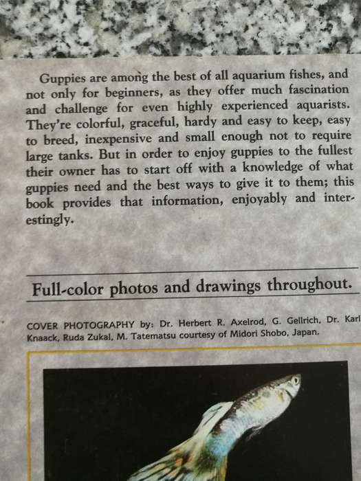 A Step by Step Book about GUPPIES JACK C HARRIS   (  tropical fish freshwater aquarium )