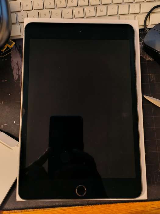 IPad Mini 5th Gen  64gig Wifi In Box