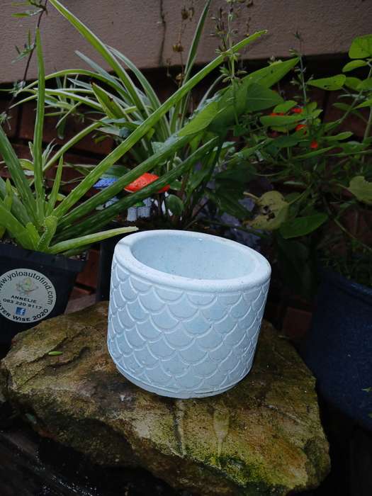 Handmade Scalloped Concrete Planter  11x8cm Decorative Pot for Succulents & Indoor Plants