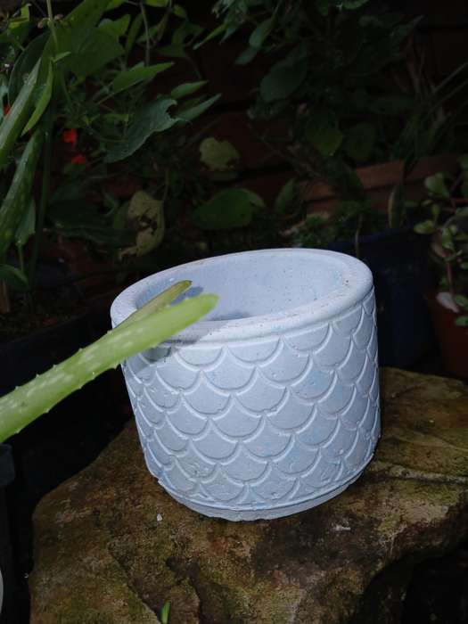 Handmade Scalloped Concrete Planter  11x8cm Decorative Pot for Succulents & Indoor Plants