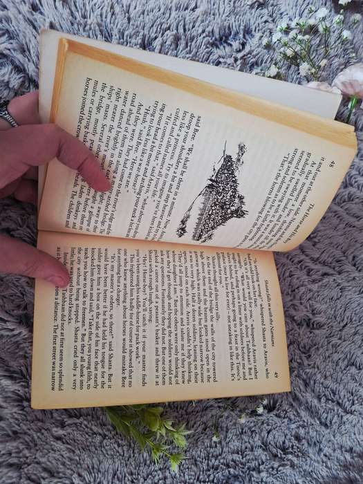 Softcover novel: The Horse and his boy by C.S. Lewis. The chronicles of Narnia