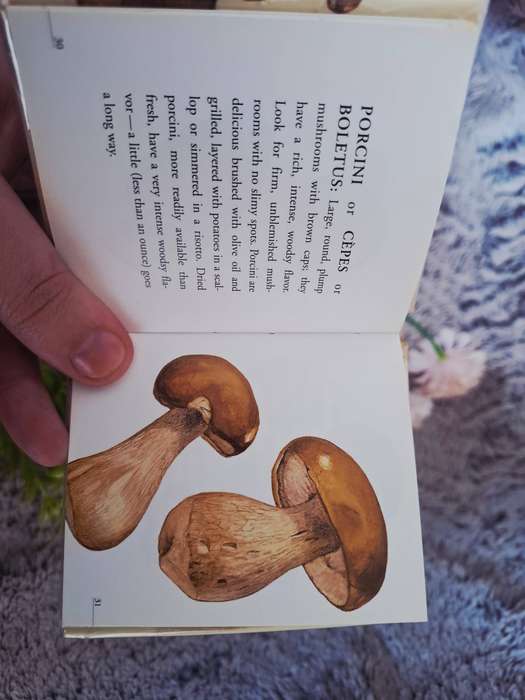 Hardcover: Little books for cooks: Mushrooms by Smallwood & Stewart (Editor).