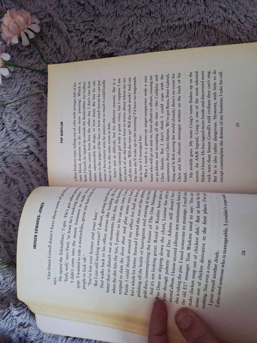 Softcover: Pop Babylon by Imogen Edwards-Jones.