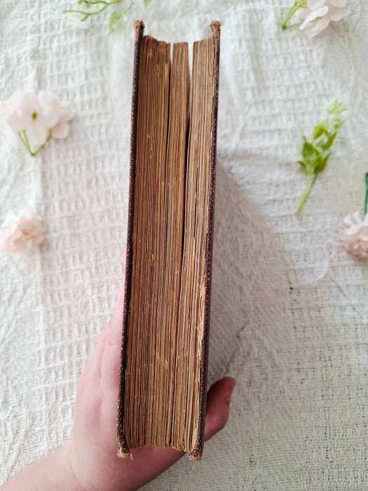 The Christian Religion by John Calvin