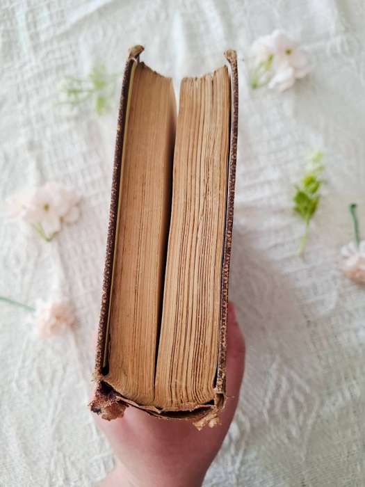 The Christian Religion by John Calvin