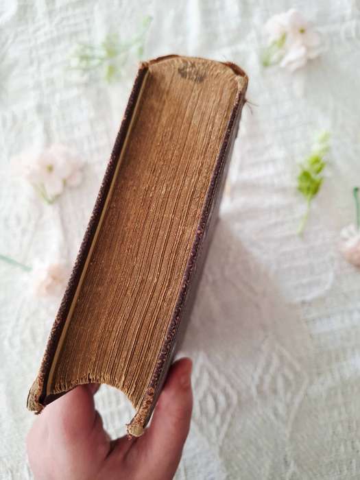 The Christian Religion by John Calvin