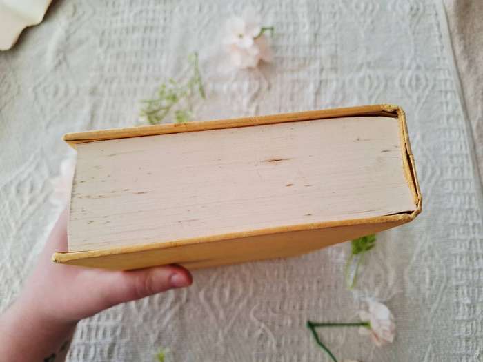 The Origin - A Biographical Novel of Charles Darwin by Irving Stone