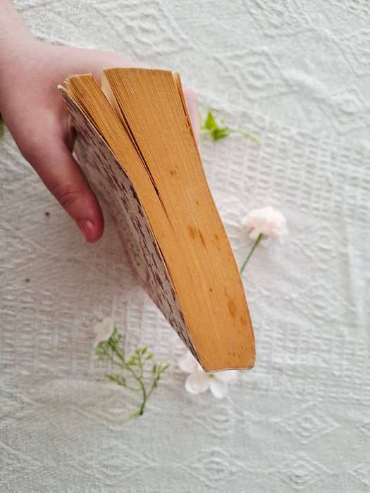 The Starter Marriage by Kate Harrison