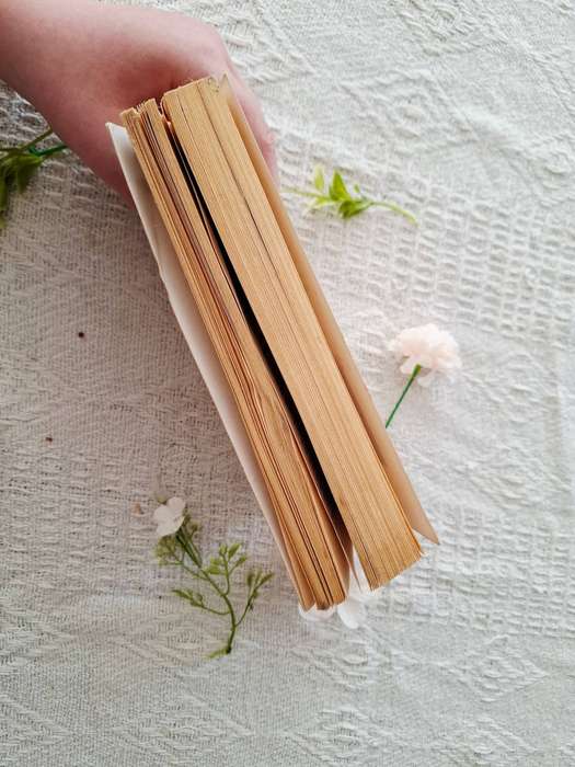 The Starter Marriage by Kate Harrison