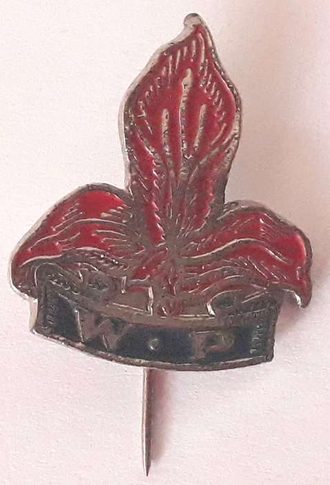 Vintage South African Rugby Western Province Pin Badge