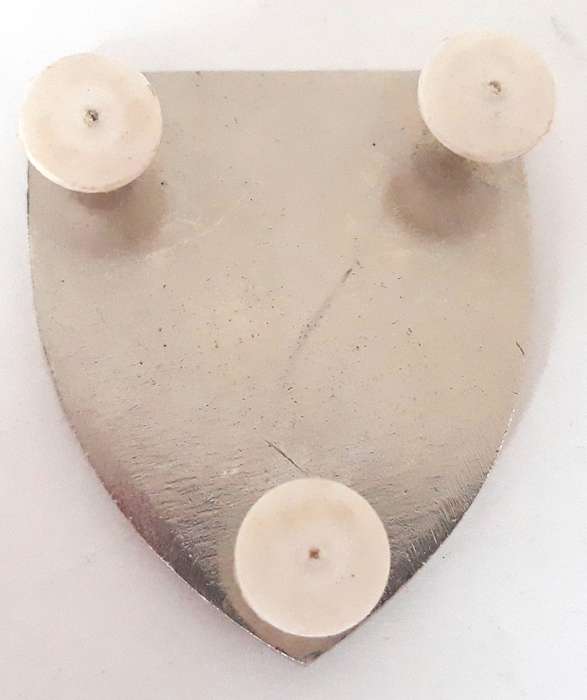 South West Africa Territorial Force Sector 40 Pocket Fob Flash