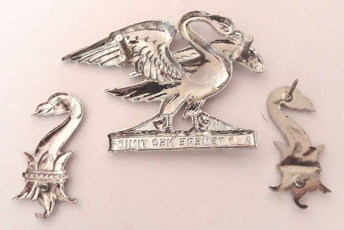 SADF Regiment Springs Cap and Collar Set